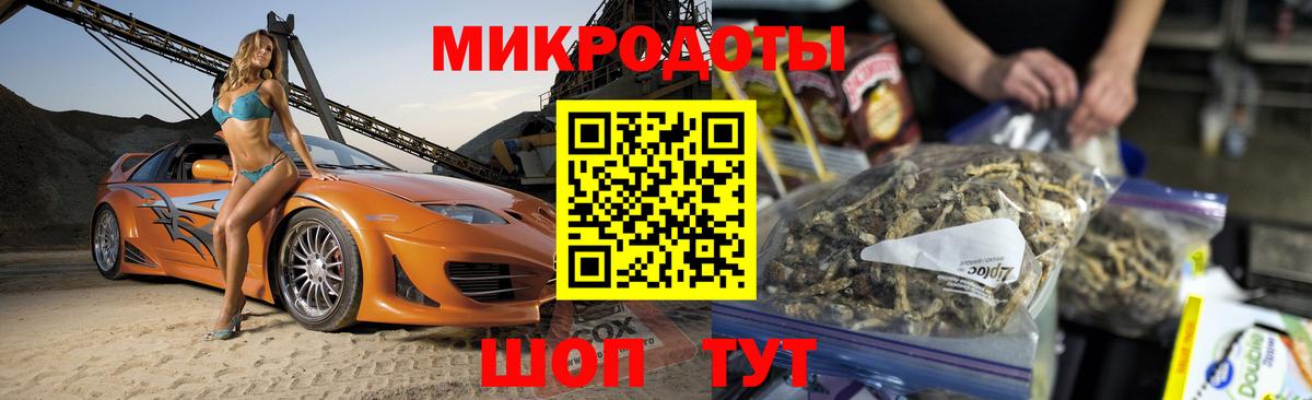 Галлюциногенные грибы Psilocybe Отрадное